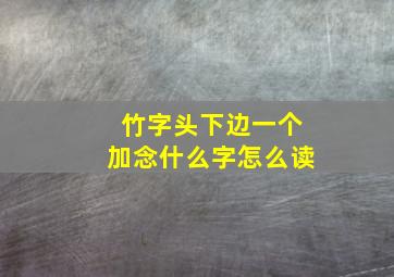 竹字头下边一个加念什么字怎么读