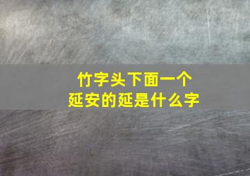 竹字头下面一个延安的延是什么字