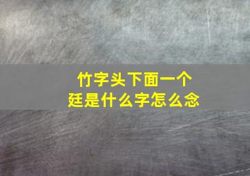 竹字头下面一个廷是什么字怎么念