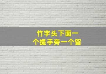 竹字头下面一个提手旁一个留