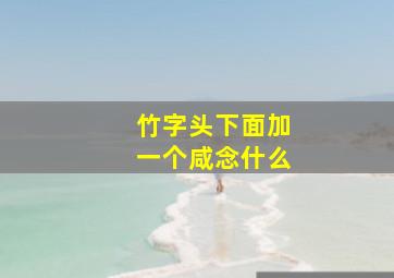 竹字头下面加一个咸念什么