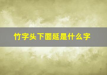 竹字头下面延是什么字