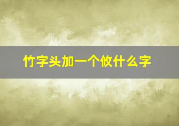 竹字头加一个攸什么字