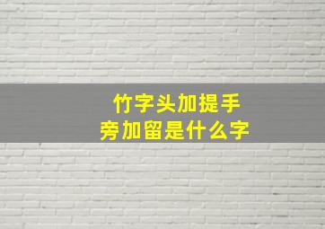 竹字头加提手旁加留是什么字