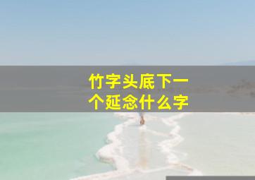 竹字头底下一个延念什么字