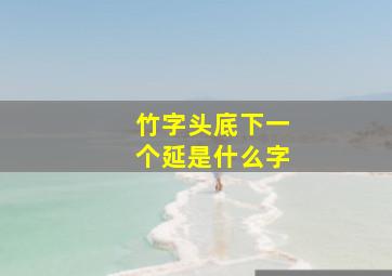 竹字头底下一个延是什么字