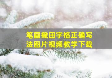 笔画撇田字格正确写法图片视频教学下载