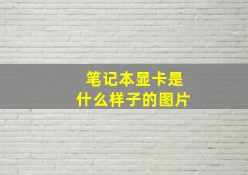 笔记本显卡是什么样子的图片