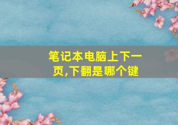 笔记本电脑上下一页,下翻是哪个键