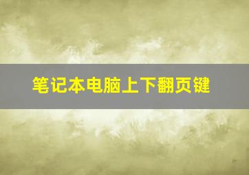 笔记本电脑上下翻页键