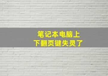 笔记本电脑上下翻页键失灵了