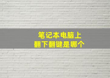 笔记本电脑上翻下翻键是哪个