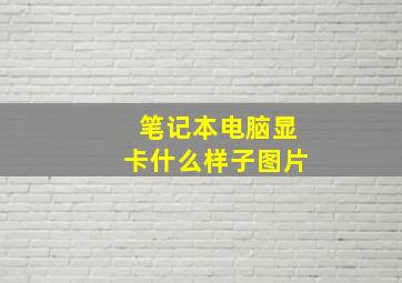 笔记本电脑显卡什么样子图片