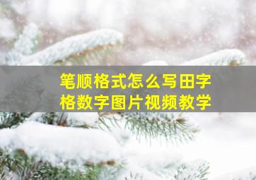 笔顺格式怎么写田字格数字图片视频教学