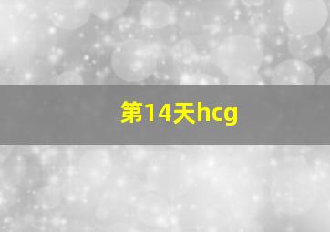 第14天hcg