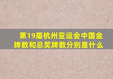 第19届杭州亚运会中国金牌数和总奖牌数分别是什么