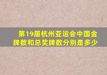 第19届杭州亚运会中国金牌数和总奖牌数分别是多少