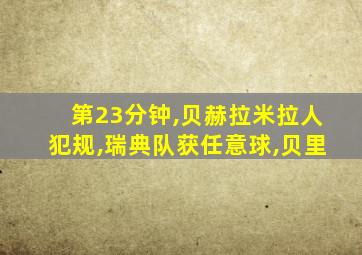 第23分钟,贝赫拉米拉人犯规,瑞典队获任意球,贝里