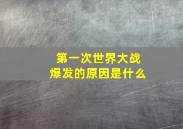 第一次世界大战爆发的原因是什么