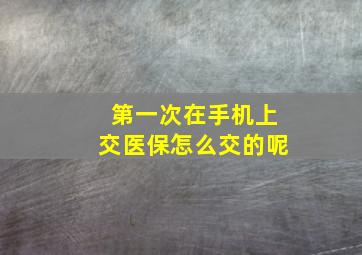 第一次在手机上交医保怎么交的呢