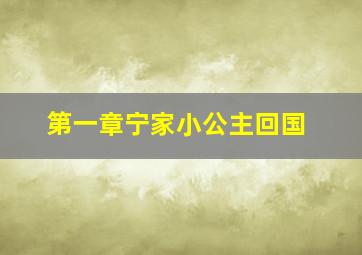 第一章宁家小公主回国