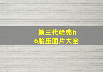 第三代哈弗h6胎压图片大全