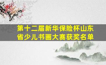 第十二届新华保险杯山东省少儿书画大赛获奖名单