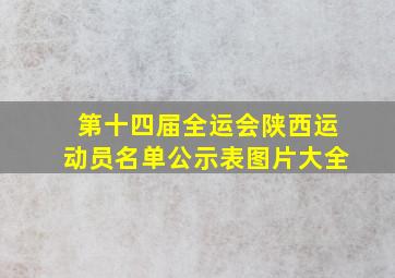 第十四届全运会陕西运动员名单公示表图片大全