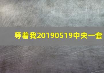 等着我20190519中央一套