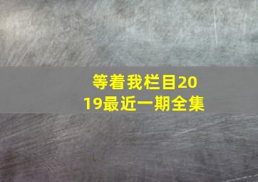 等着我栏目2019最近一期全集