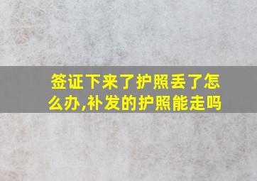 签证下来了护照丢了怎么办,补发的护照能走吗