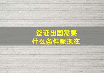 签证出国需要什么条件呢现在