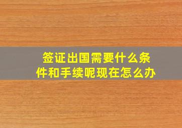 签证出国需要什么条件和手续呢现在怎么办