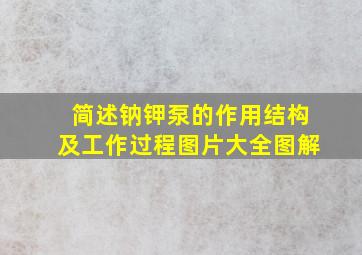 简述钠钾泵的作用结构及工作过程图片大全图解