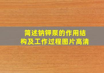 简述钠钾泵的作用结构及工作过程图片高清