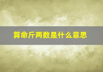 算命斤两数是什么意思