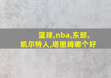 篮球,nba,东部,凯尔特人,塔图姆哪个好