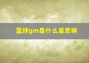 篮球gm是什么意思啊