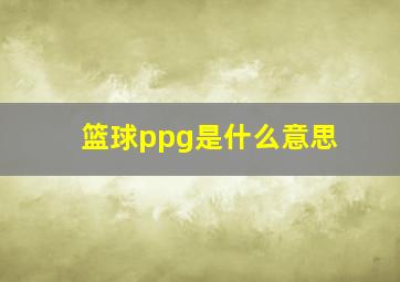 篮球ppg是什么意思