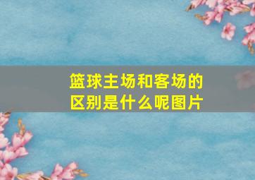 篮球主场和客场的区别是什么呢图片