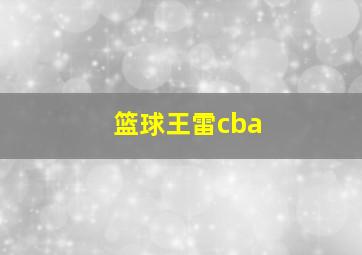 篮球王雷cba