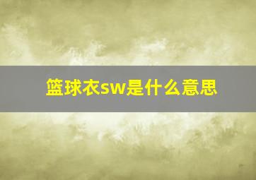 篮球衣sw是什么意思