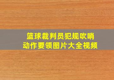 篮球裁判员犯规吹哨动作要领图片大全视频