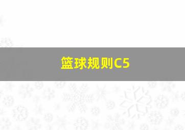 篮球规则C5