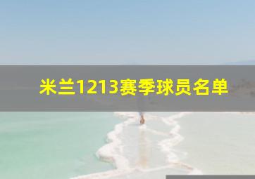 米兰1213赛季球员名单