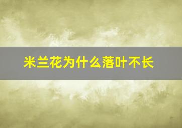 米兰花为什么落叶不长