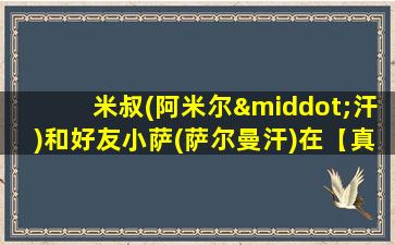 米叔(阿米尔·汗)和好友小萨(萨尔曼汗)在【真相访谈】