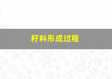 籽料形成过程