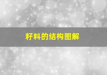 籽料的结构图解