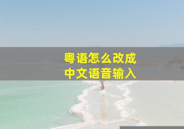 粤语怎么改成中文语音输入